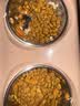 伟嘉猫粮成猫 金装升级营养加油站2kg海洋鱼 名目靓毛夹心粮蓝猫英短 实拍图