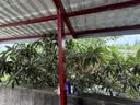 欧莱雅护发精油霜90ml 护发0油感精油男女修复干枯毛躁不油腻 实拍图