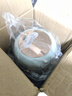 艾仕玛电炖锅多功能1-2人家用办公室煲汤煮粥神器便携大容量蒸煮养生电炖杯全自动一体婴儿辅食锅 【1.0L大容量】薄荷绿+预约保温 1L 实拍图