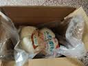 希森 山东手工千层馒头155克*1个碱面老面馒头馒头火烧饼面食早餐 千层老面馒头8个【约2.48斤】 实拍图