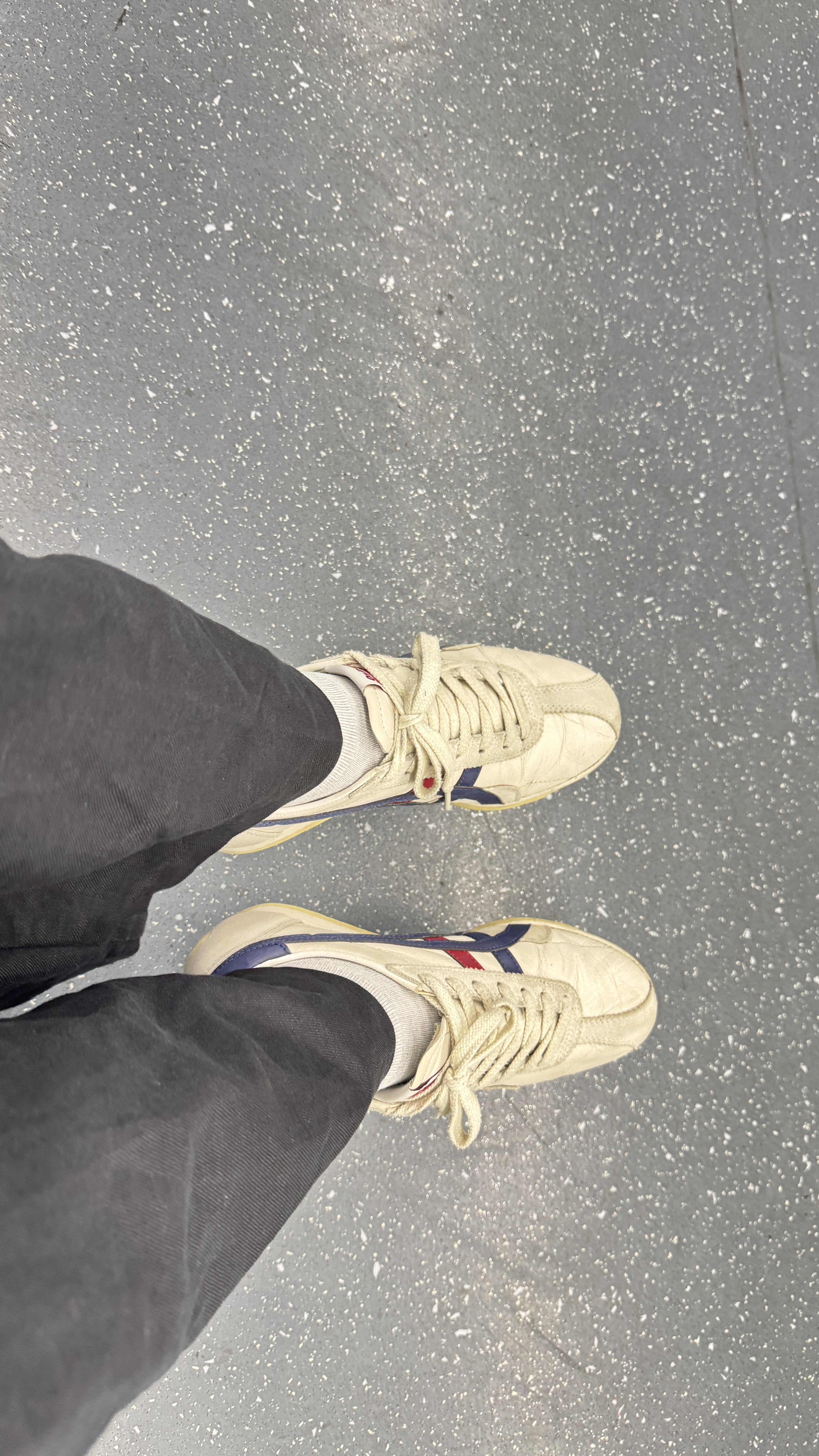 Onitsuka Tiger鬼塚虎RUNSPARK春夏男女情侣款时尚休闲鞋小白鞋 白色/黑色 37 实拍图