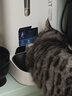 小佩宠物无线饮水机MAX  锂电款猫咪饮水机 宠物喝水器记录 涂层款 实拍图