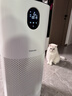 东芝（TOSHIBA）空气净化器宠物净化器大白梨PET去毛除毛大风量除花粉过敏源除尘净化除螨消毒杀菌除味【价保618】 实拍图
