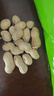 俏己食黑花生带壳原味黑皮生花生米新鲜山东特产富硒下酒菜解馋零食1斤 实拍图