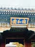 罗技（Logitech）M720 鼠标 无线蓝牙鼠标 办公鼠标 右手鼠标 大手鼠标 优联 黑色 带无线2.4G接收器 实拍图