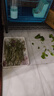 喜帅兔子提摩西草 精选烘干北提提草龙猫兔粮荷兰猪主粮磨牙零食500g 实拍图