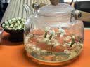 优卓胖东来同款茉莉花干花2026特一级新茶横县特级浓香型花茶理气安神 【特优级茉莉花】花香浓郁 100g*3罐 舒缓情绪辅助提神醒脑 实拍图