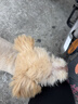 丽点肝素钠乳膏5000单位淡化黑眼圈熊猫眼 角化型湿疹干燥粗糙防裂冻疮膏甘油保湿滋润 抗炎消肿皮肤用药 实拍图