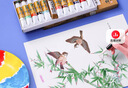 马利(Marie's)国画颜料盒装24色5ml水墨画山水画初学者套装学生美院专业美术绘画国画套装1324 实拍图