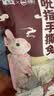 大嘴先生香辣手撕兔750g 冷吃兔麻辣兔肉烤全兔下酒菜 开袋即食 实拍图