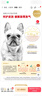 皇家狗粮 斗牛犬成犬狗粮 犬粮 宠物中型犬 FBA26 全价犬粮 ≥12月3KG 实拍图