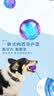 贵为（GiGwi）狗狗玩具耐咬弹力球发声磨牙自嗨解闷宠物玩具边牧玩具金毛柯基 【大号】透明球 实拍图