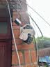 霸天安4g监控无线摄像头无需连wifi网络终身免流量室外监控器家用360度无死角全景农村夜视手机远程户外 实拍图