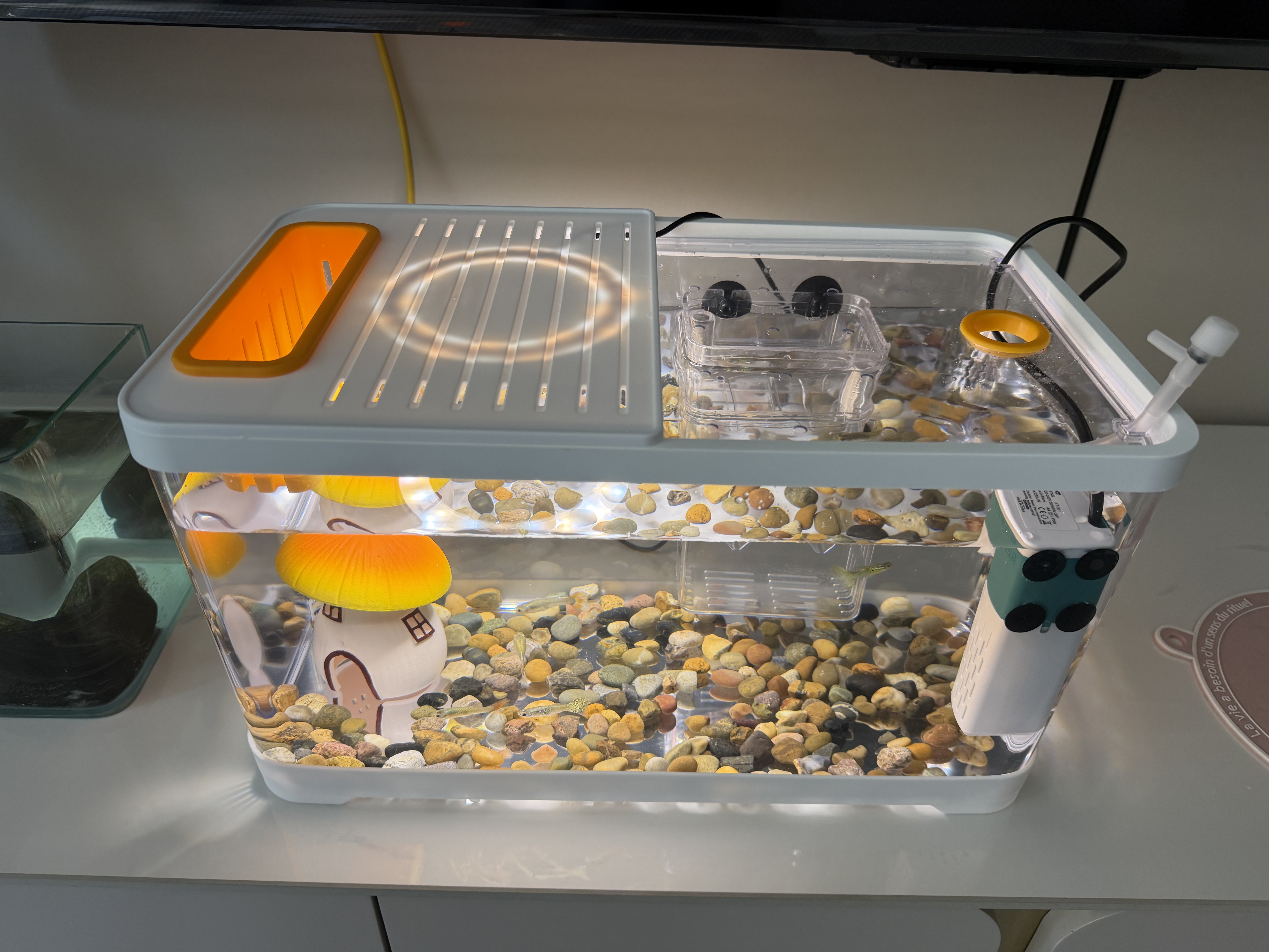 阔庭（KUOTING）鱼缸滑盖款造景过滤制氧一体机鱼缸家用小型免换水鱼缸溪流缸白色 实拍图
