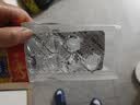 [立效]鱼鳔参杞益精丸 9g*10丸 1盒装 实拍图