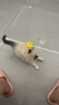 欢宠网猫玩具猫咪逗猫棒猫薄荷球不倒翁自嗨神器自己玩解闷猫猫小猫幼猫 实拍图