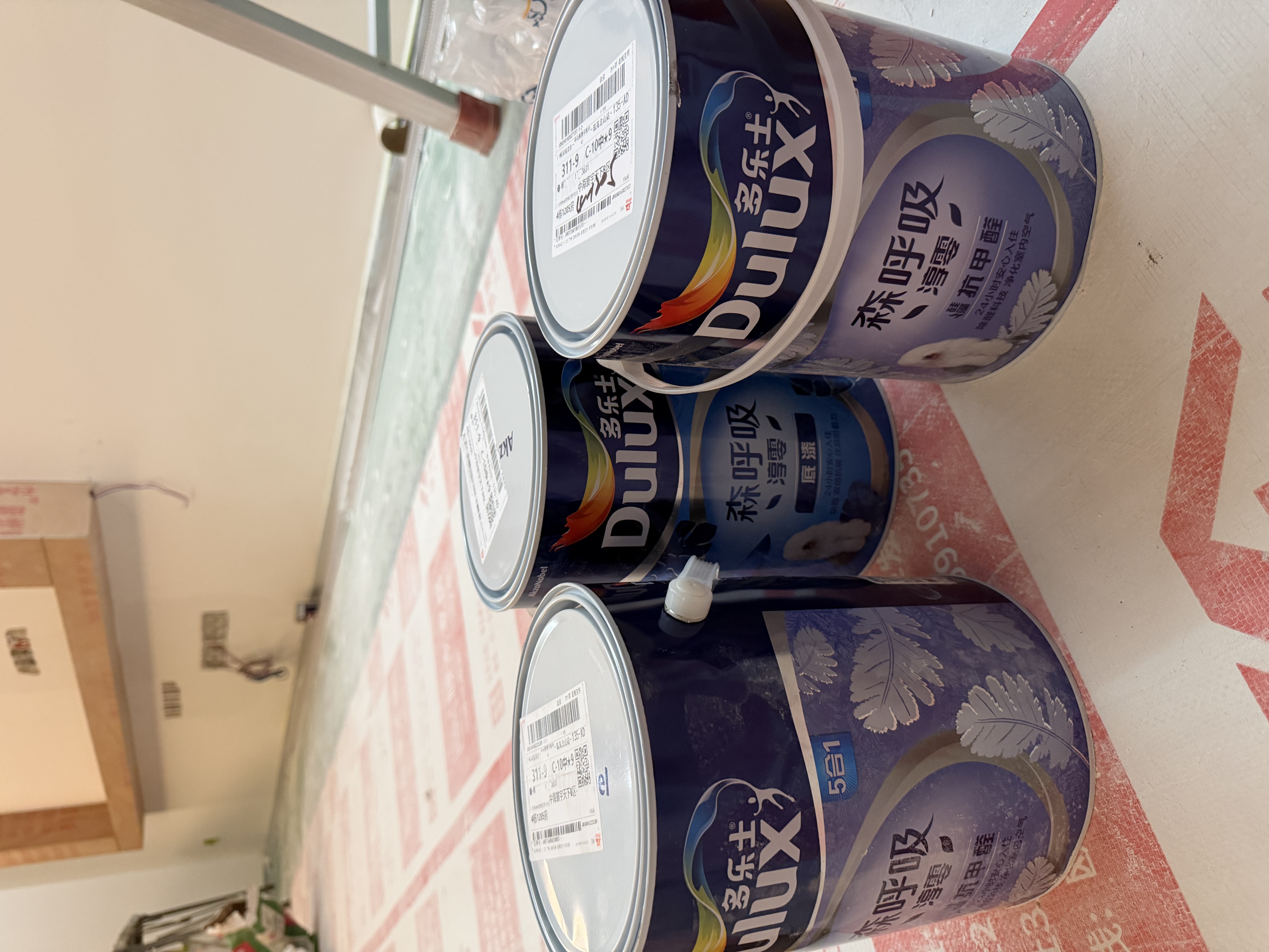 多乐士（Dulux）森呼吸淳零无添加硅藻抗甲醛五合一A8211内墙面漆5L 实拍图
