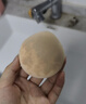 尔木萄（AMORTALS）丁禹兮同款棉花糖气垫粉扑100分美妆蛋化妆粉扑粉底液专用粉扑 实拍图