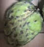 壹萌果蔬释迦果新鲜【顺丰次日达】大目释迦果番荔枝泰国热带水果节日送礼 3斤臻品果【单果250g+】净重2.5斤 实拍图
