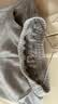 左西童装男童运动裤2026新款儿童秋装裤子男孩长裤卫裤 黑色 160 实拍图