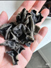 十月稻田白玉木耳 90g 东北特产 菌菇干货 易泡发 火锅煲汤食材 实拍图