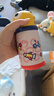 babycare儿童水杯6个月以上宝宝霸王龙不锈钢保温杯上学450ml-新旧款混发 实拍图