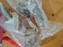 皇家麒麟 即食海参 即食大连刺参单个装辽刺参海参干货水产礼盒净含量500g 7A鲜食海参 8-12只/斤-家庭首选 两斤装【畅销装】 实拍图