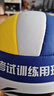 李宁排球【中考训练】专用比赛体育课中小学体考成人儿童软硬5号排球 实拍图