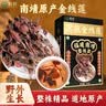 粮粹【黑根】深山金线莲福建南靖纯野外生整株肝泡茶的功效作用养 实拍图