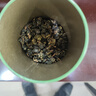 福茗源台湾冻顶乌龙茶叶 2026新茶高山茶冷泡茶叶自己喝口粮茶袋装500g 实拍图