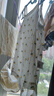 欢喜小熊婴儿包屁衣夏季女宝宝吊带薄款衣服新生儿公主碎花三角哈衣爬服 实拍图