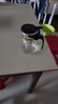 飘逸壶泡茶壶耐热高温玻璃沏茶过滤内胆冲茶器家用茶具套装 飘逸杯500mL1个 实拍图