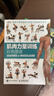 【包邮】肌肉力量训练彩色图谱 拉伸训练书体育运动健身书籍练肌肉力量训练全书减脂增肌健身教练书籍健美书 减重 京东减重 实拍图