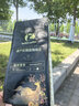 瑞幸咖啡咖啡豆 SOE耶加雪菲咖啡豆250克/袋 中烘门店同源小黑杯精品生豆 实拍图