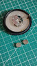 飞利浦（PHILIPS）LR626纽扣电池10粒LR66/177/376/377/ag4适用石英手表天梭浪琴手表电池sr626sw 实拍图