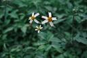 富士（FUJIFILM）X-S20 微单相机 15-45mm套机 AI智能对焦 750张续航增强 全新Vlog模式 高便携高性能  实拍图
