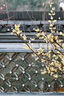 适马（SIGMA）56mm F1.4 DC DN｜Contemporary 半画幅大光圈定焦镜头 人像特写（佳能RF卡口） 实拍图