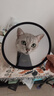 欢宠网伊丽莎白圈猫宠物狗猫咪狗狗绝育软项圈头套脖套防舔防咬脖圈耻辱 实拍图