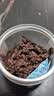蒙都 超干粗条牛肉干 原味200g 约九成风干 零食 肉干肉脯 清真 实拍图