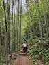 探路者（TOREAD）喀纳登山杖3K碳素碳纤维户外装备5节可折叠伸缩爬山手杖 电光粉 实拍图