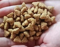 宝路狗粮老年犬狗粮 牛肉味1.8kg全犬种通用老年犬狗粮全价粮  实拍图