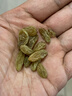 百草味新疆即食蜜饯果干 办公室休闲零食小吃 MJ 【量贩分享装】500g（100g*5包） 实拍图