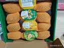 佳沛（zespri）新西兰 阳光金奇异果12粒特大果单果124-146g 猕猴桃水果礼盒 实拍图