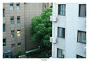 松下（Panasonic）Lumix S5M2 全画幅相机 L卡口 微单相机 无反数码相机 【24-60mm F2.8】套装 实拍图