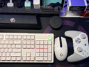盖世小鸡G7 Pro微软Xbox授权精英游戏手柄天王星地平线6 TMR摇杆体感蓝牙PC电脑无线Steam安卓手机series 实拍图
