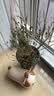 特大蓝莓树果苗盆栽地栽发货南北方种植奥尼尔蓝莓苗当年结果 L25 10年苗【结果满枝】80公分-1米高 实拍图