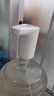 双枪桶装水抽水器 99.9%抗菌电动压水器矿泉水上水器饮水机抽水泵单泵 实拍图