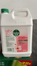 滴露（Dettol）洗手液补充装大桶消毒滋润5L 儿童家庭装杀菌护手 实拍图