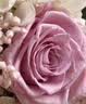 JoyFlower永生花丘比特熊礼盒玫瑰生日礼物女结婚纪念新婚送女朋友新娘实用 实拍图