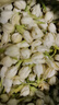 福茗源花草茶 茉莉花苞 特级品质横县三伏晴天茉莉花茶花蕾养生花茶100g 实拍图
